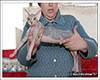 Shtourman Sphynx Cattery