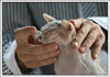 Shtourman Sphynx Cattery